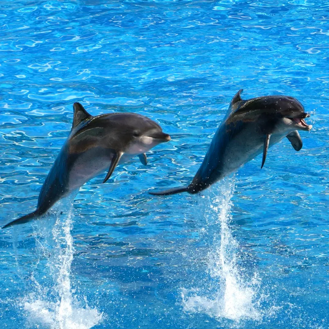 c8582123d9284c3824f19cb886e7e37c-sz_3579583