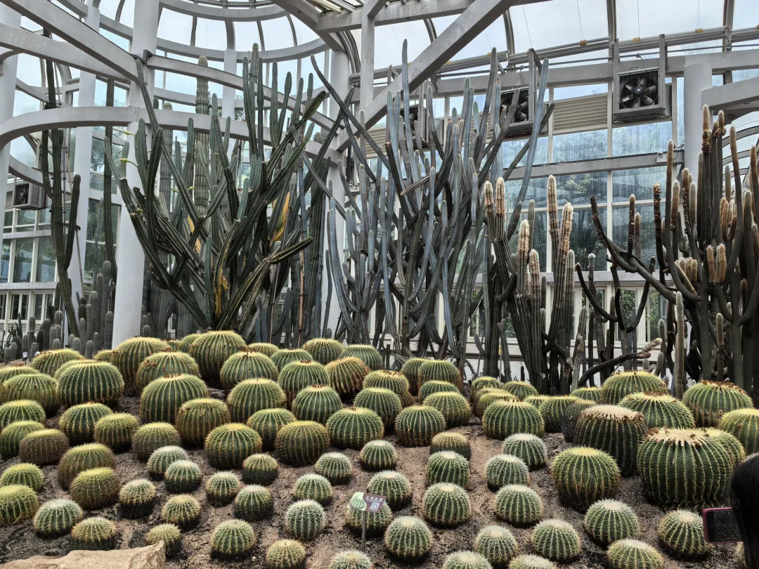 c8b58248231ffea50d9271c7957d9fa3-sz_6762074-1