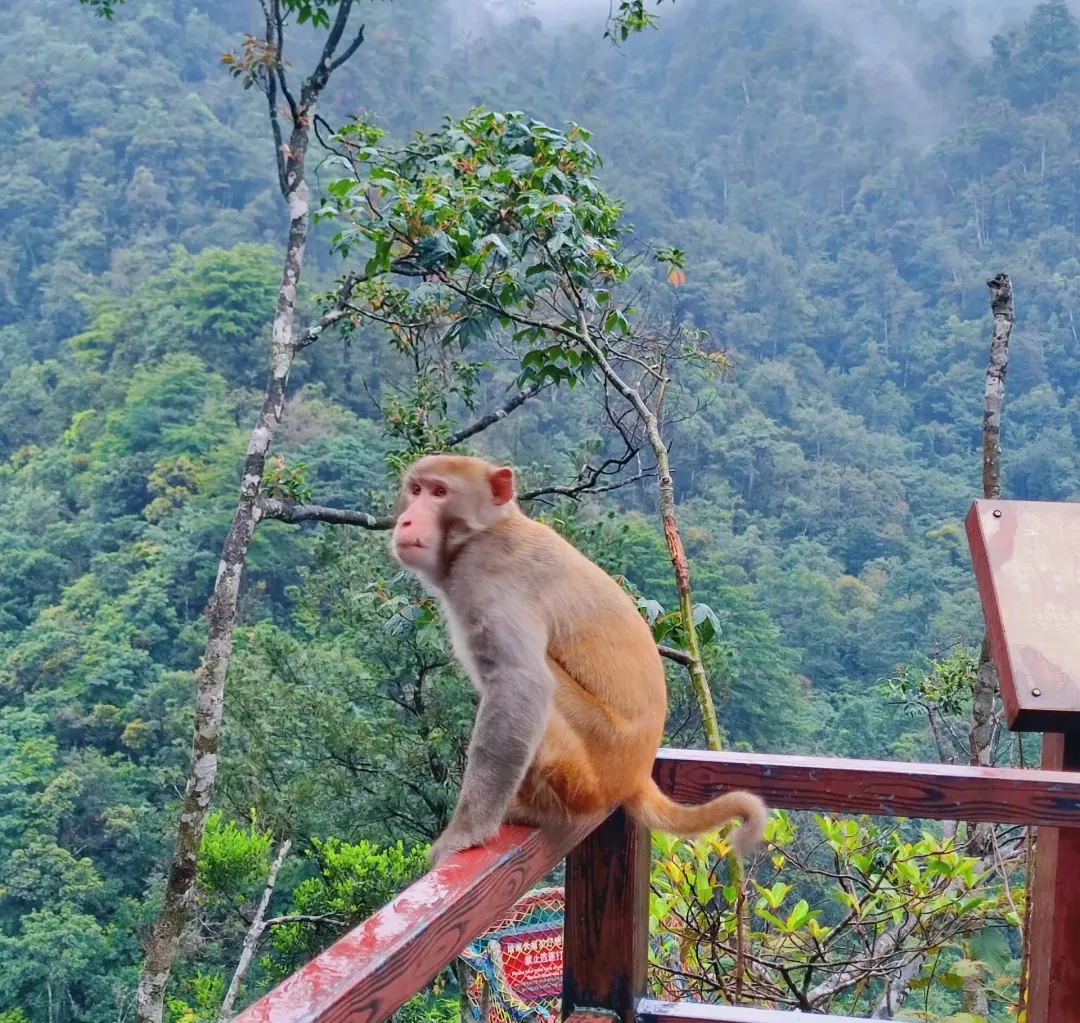 c8b85414208e3d14077748197f70fa7c-sz_560933