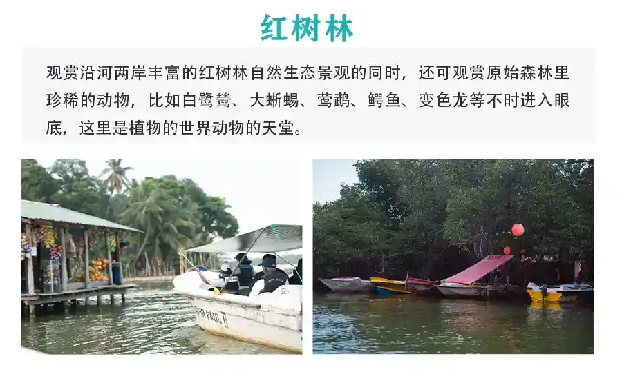 c8cfcc8872f3d292d38b2a906824cf65