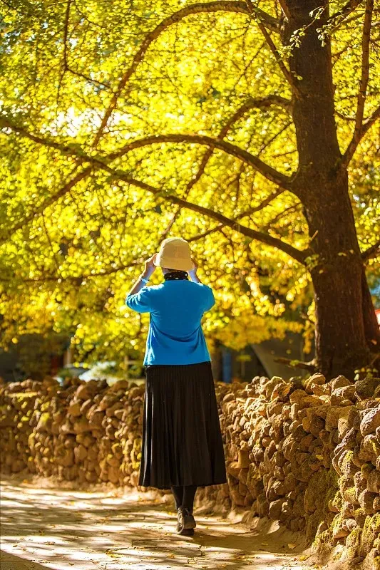 c8ee7290237eda5c1f710f257f9cc742-sz_217574