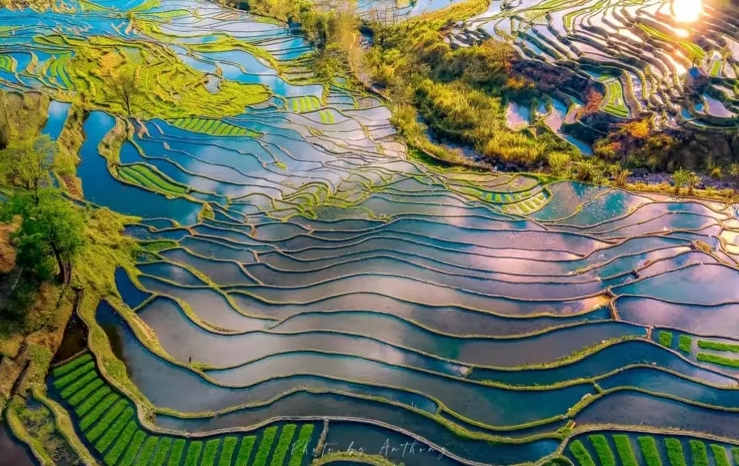 c8fd9c6c1b8afb393853e2f725cdbd48-sz_668083