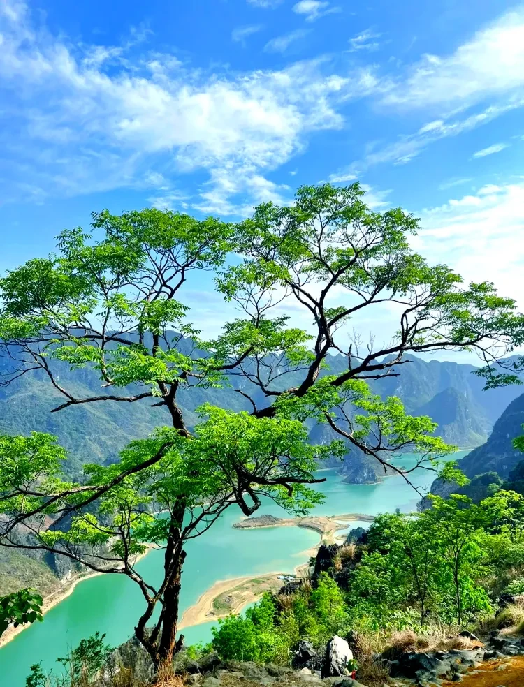 c95f17e5a9ebd054f3285a6342c7bf62-sz_4511443