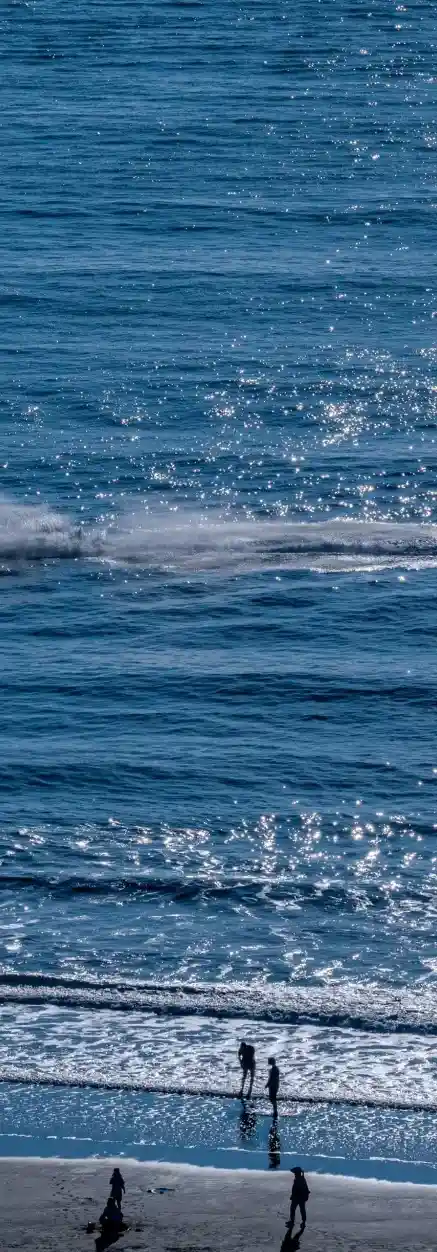 c9870343c04b0f1e5d4d21539210ae01-1