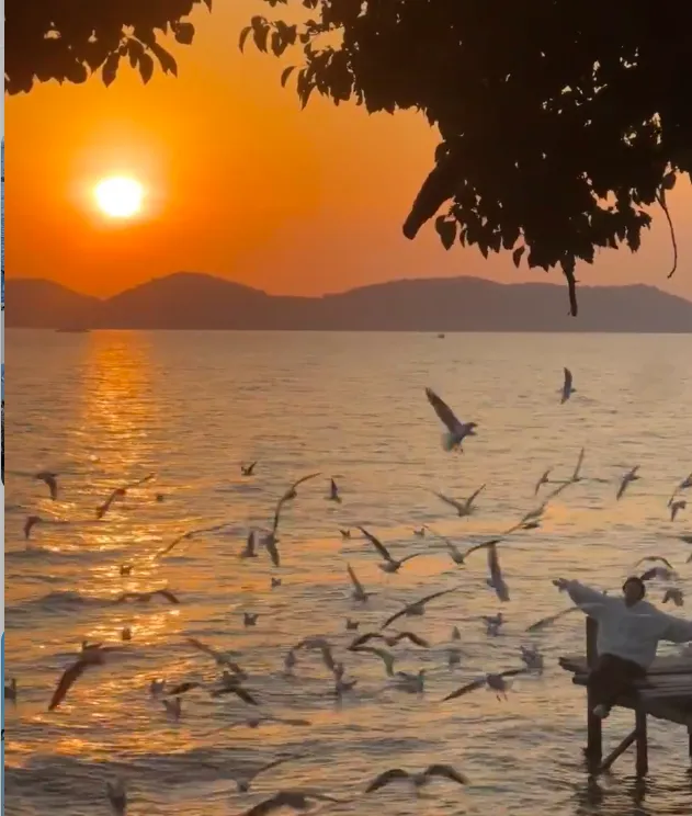 c989ffe1943cdc7d7f8d1ef83388fcba-sz_654889