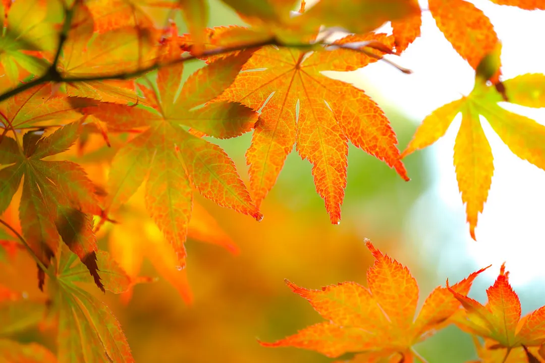 c9d7a0f6df083664e35a7b7f680bd79d_sz-365960