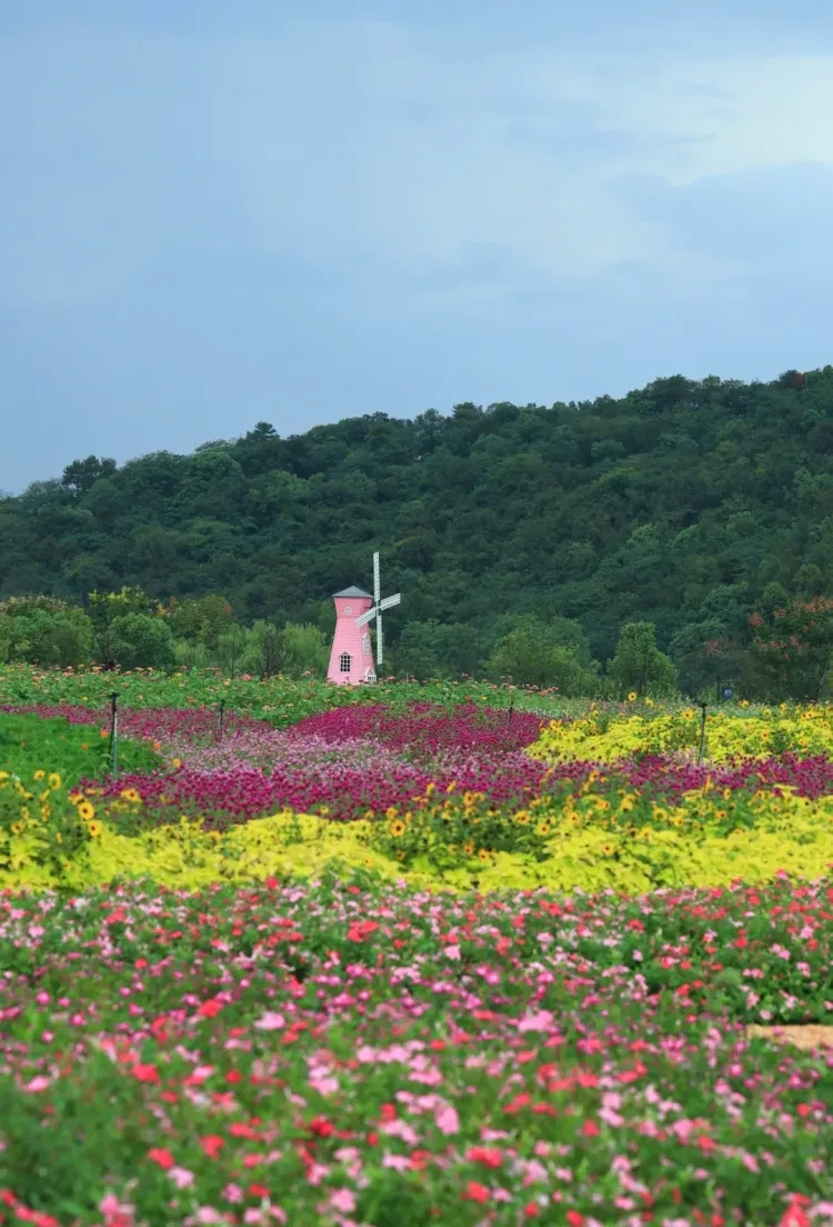 c9e086a52901d04cba63d3f9532121e2-sz_2228147