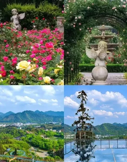 c9e8f6bb317306824cf82af0ad545921-sz_809242