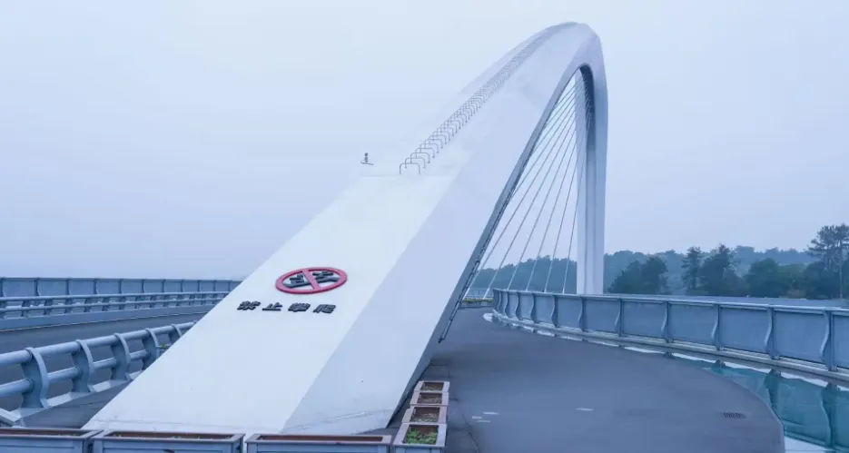 ca2465180e9127b529533936c640e28c-sz_282977