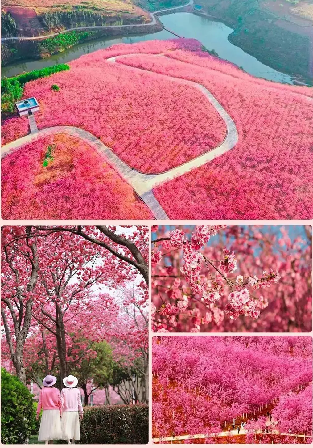 ca2585f523daa6d6886ce8a88e8b97ff-sz_2996472-1