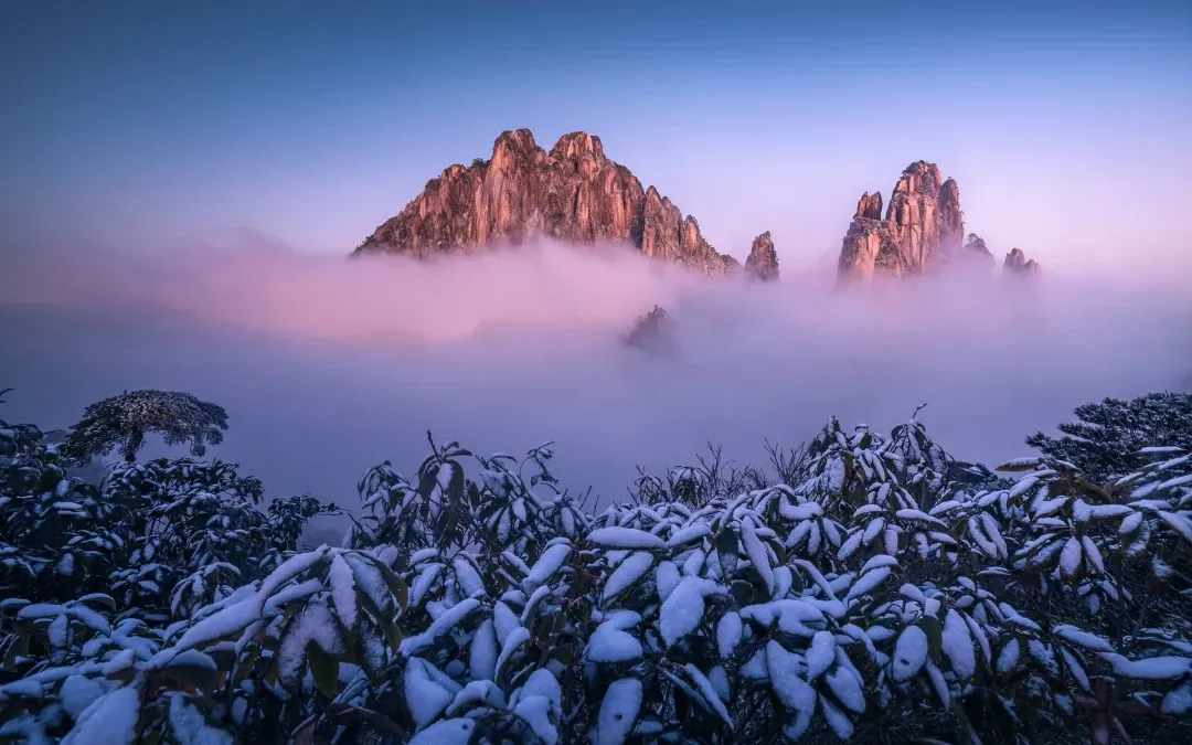 cafea4115287cc818a837fe6f3efaa7d-sz_2630791