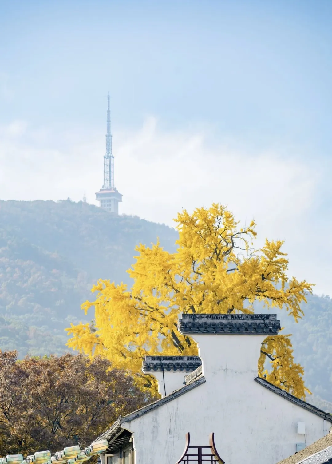 cb3d56a4bb8a365e27841e5a830ff70d-sz_347317