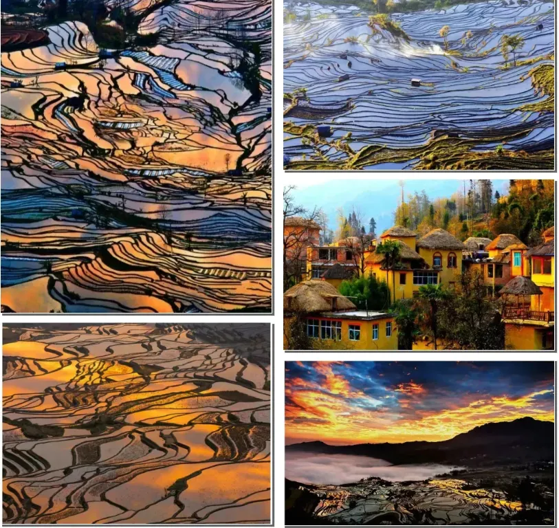 cb7527b5a8b398483f677a02bb3d126d-sz_1388783