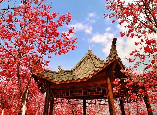 cbce5c21cbee3bc2abfb38f9c6939ff9-sz_112837