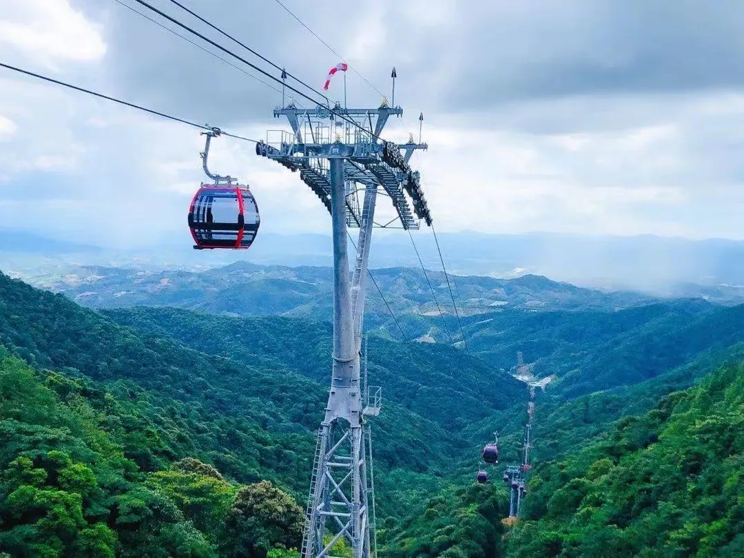 cbfbe62f95bb78bbbe220b4beebe991b-sz_310785