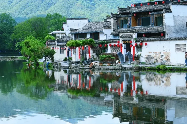 cc30a48aacc528ebda3fb5af2127943f-sz_4239070