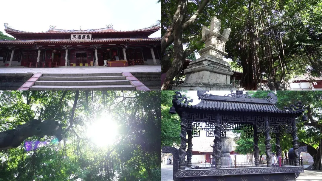 cc3917301f1ba099a82e50c6387f56ba-sz_330949