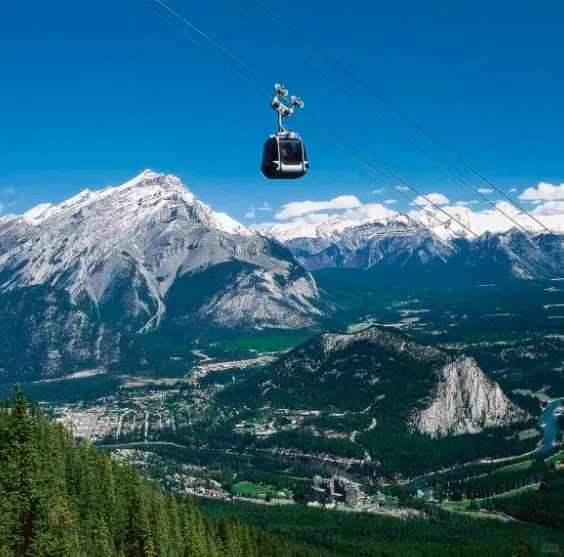 cc90107210258c157a0ec94ab75bfdc3-sz_105205-1