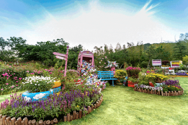 cc9a3212a595a8dabbb1d8803667c573-sz_711843