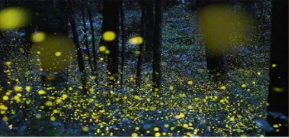 cca870968b73920a34cba21c95ee801b-sz_229441 cca870968b73920a34cba21c95ee801b-sz_229441