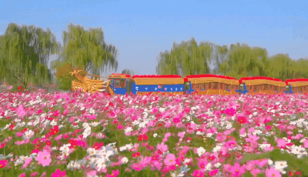 ccaa2634475334f2fdfa6996fc570876-sz_1506249