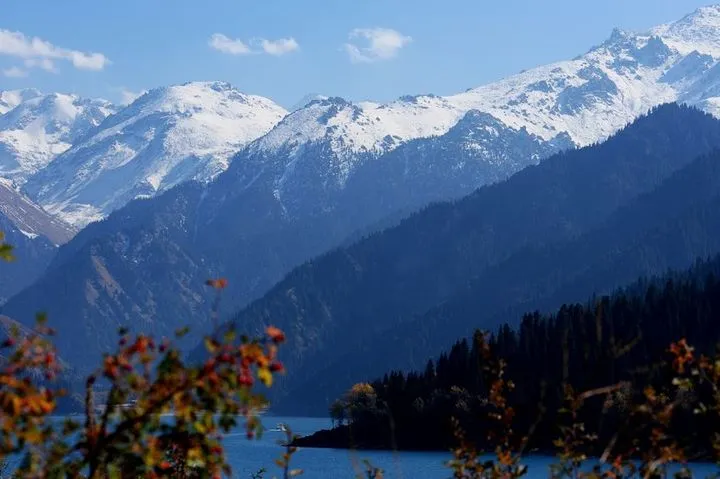 cccbb1073cdb0349c03ae2985d2e9d7c-sz_65608