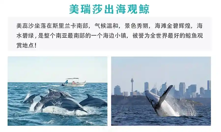 ccd7e764a1f827af11c8d83c41944957