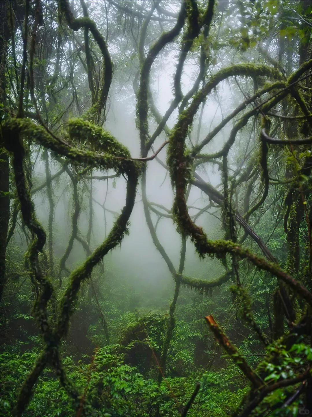 ccf9a8787a3d03e8d6b6d87a5b3faf29-sz_2763576-1