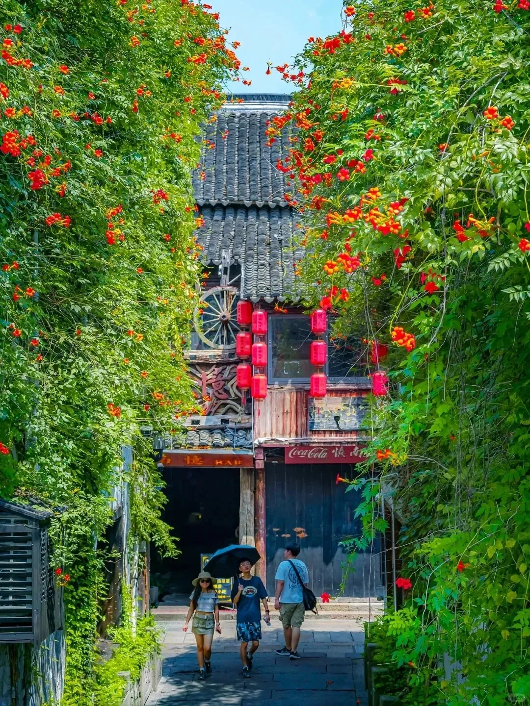 cd2faf1daf663694b53ccbc860f7bbdf-sz_787409