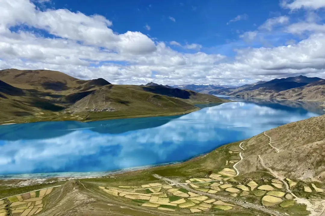 cd467a4a09c0ce21bf4c165a1366b584-sz_334772