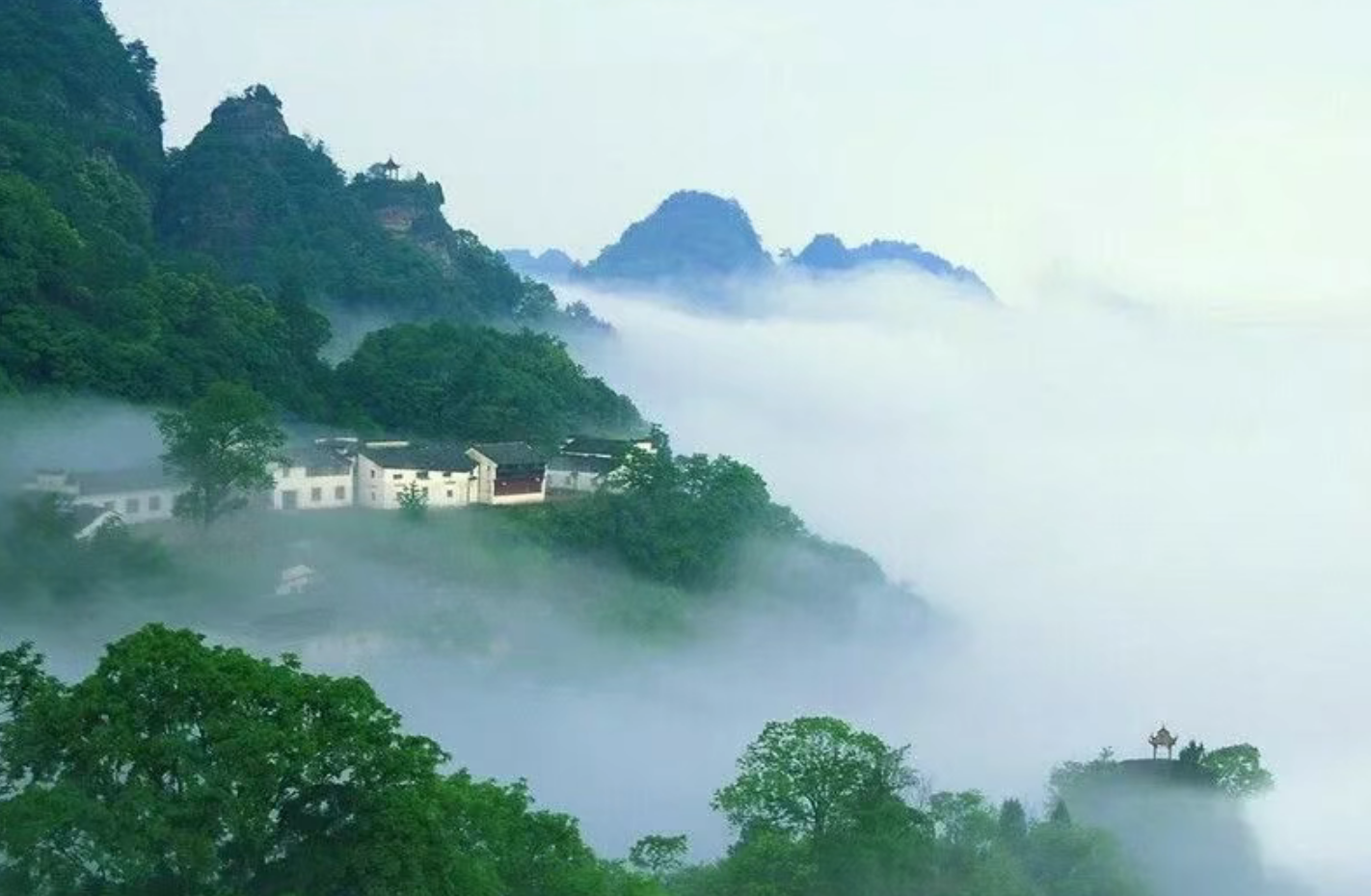 cd81d676a006a1bf4f2ad3881caba2c1 cd81d676a006a1bf4f2ad3881caba2c1