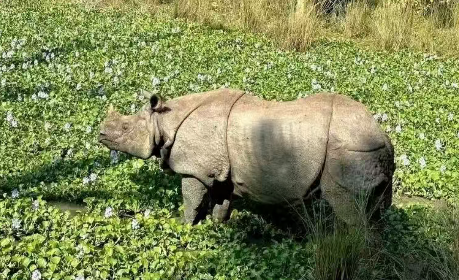 cda374fb14a9de75f8e064595780354a