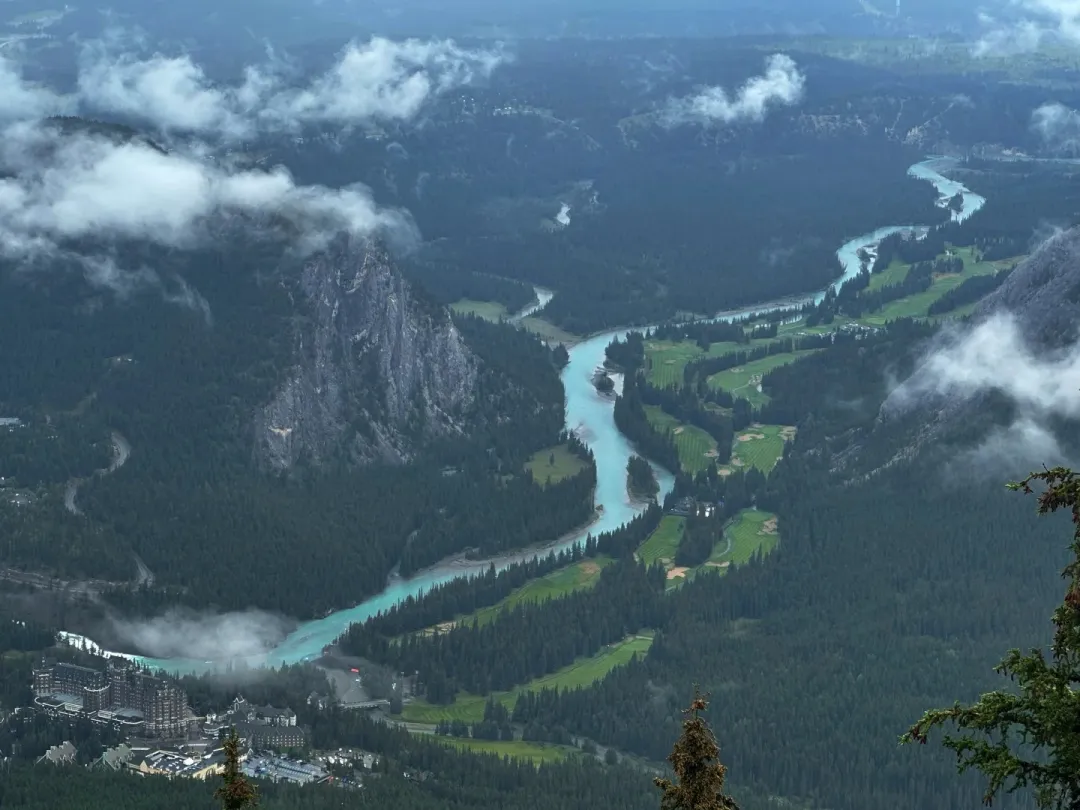 cdbf330480f124e266a1df506fbf3c96-sz_344110-1