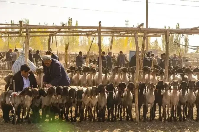 cdcae33da470d02df1ea076197c76e86-sz_673112