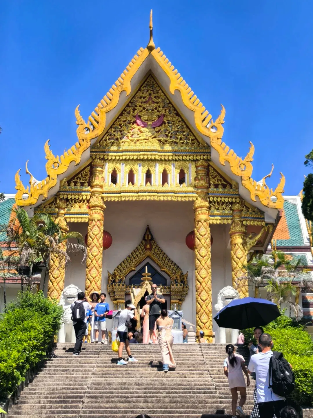 ce064be37324b87bc97490c0a1c01513-sz_503154