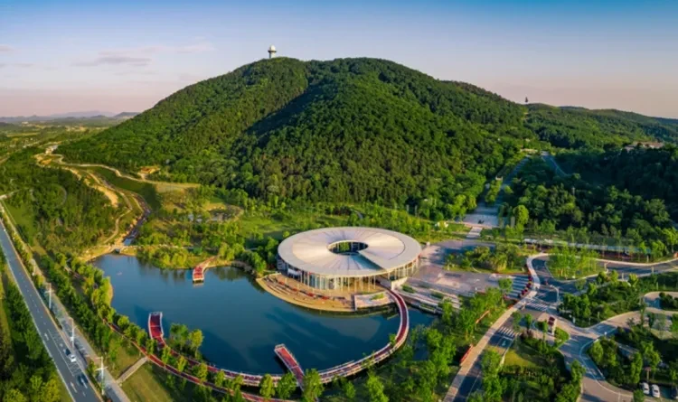 ce175a3dfc64e476217d79b0ea576346-sz_206976