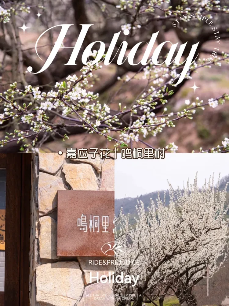 ce585e75ea46fb79c69d0ed6a23b5f22-sz_1771807