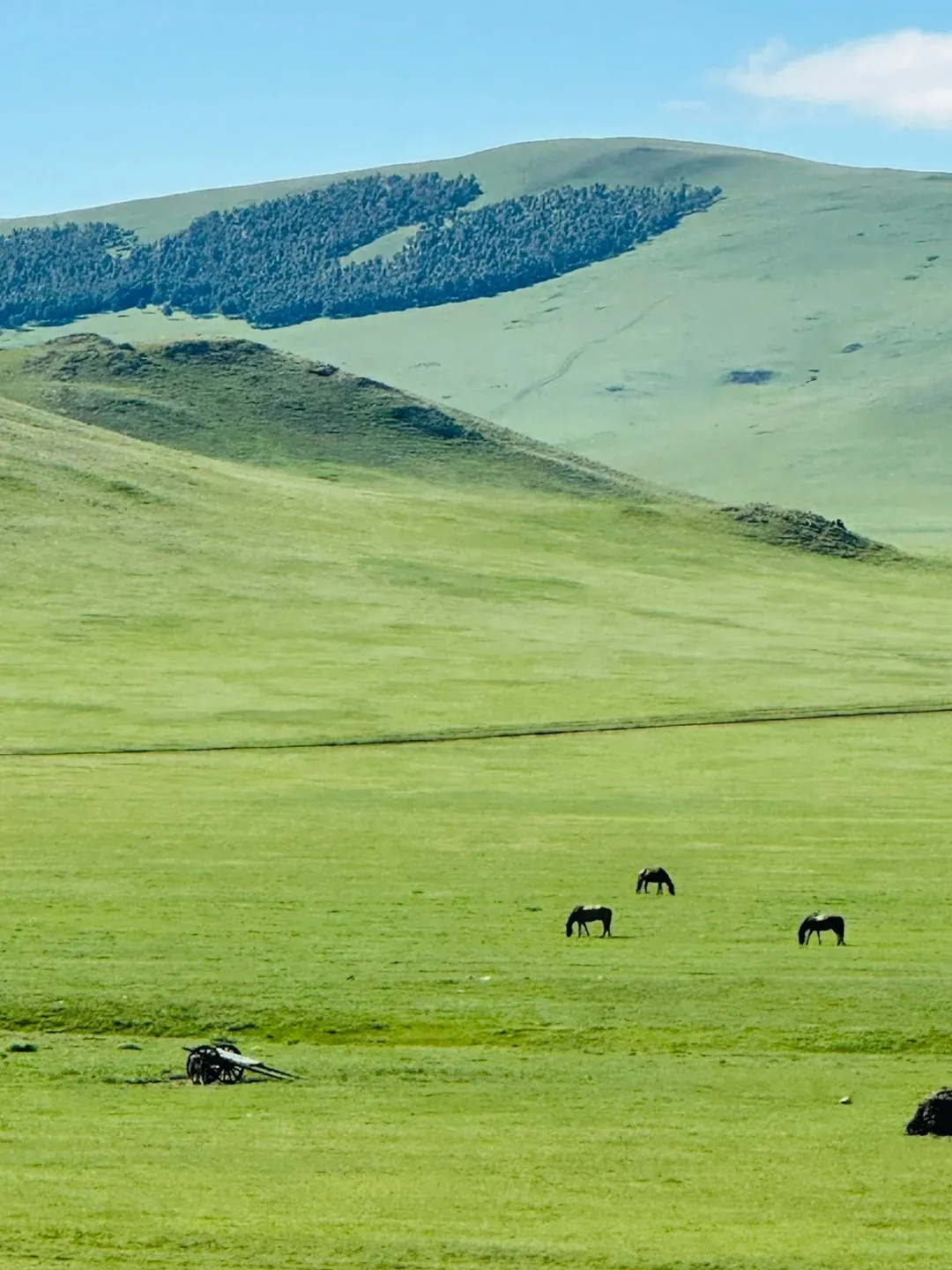 cea410dbb78bda14046273fcd42f2b10-sz_423332