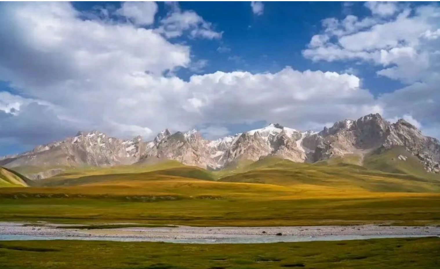 cec0df6e692f10533fd5326a7d8965f5