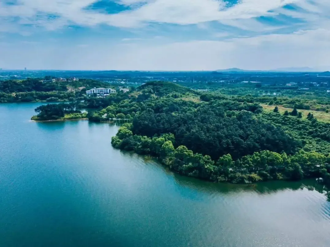 cf15b74ebe9e5c964e11d4699efb81f3-sz_1453157