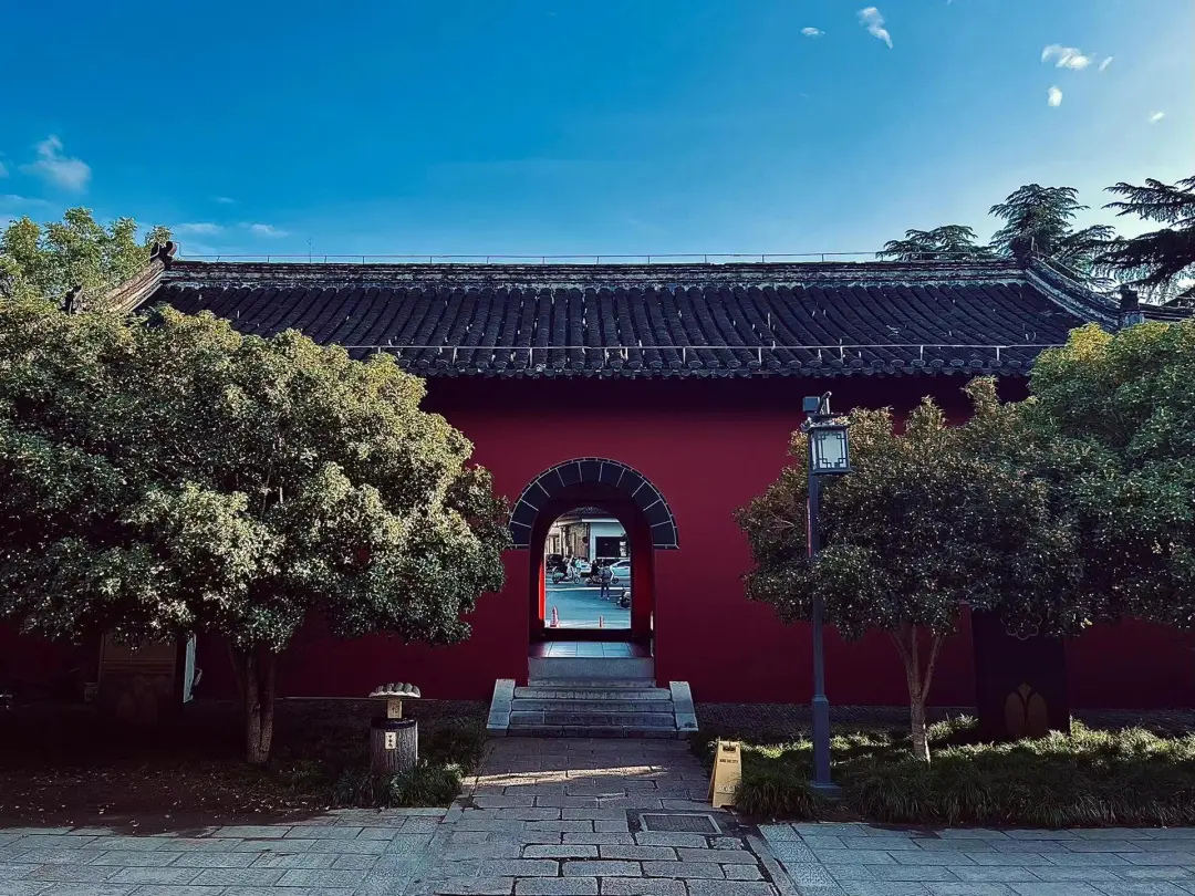 cf20169efa5a3a785016b237403da930-sz_559163