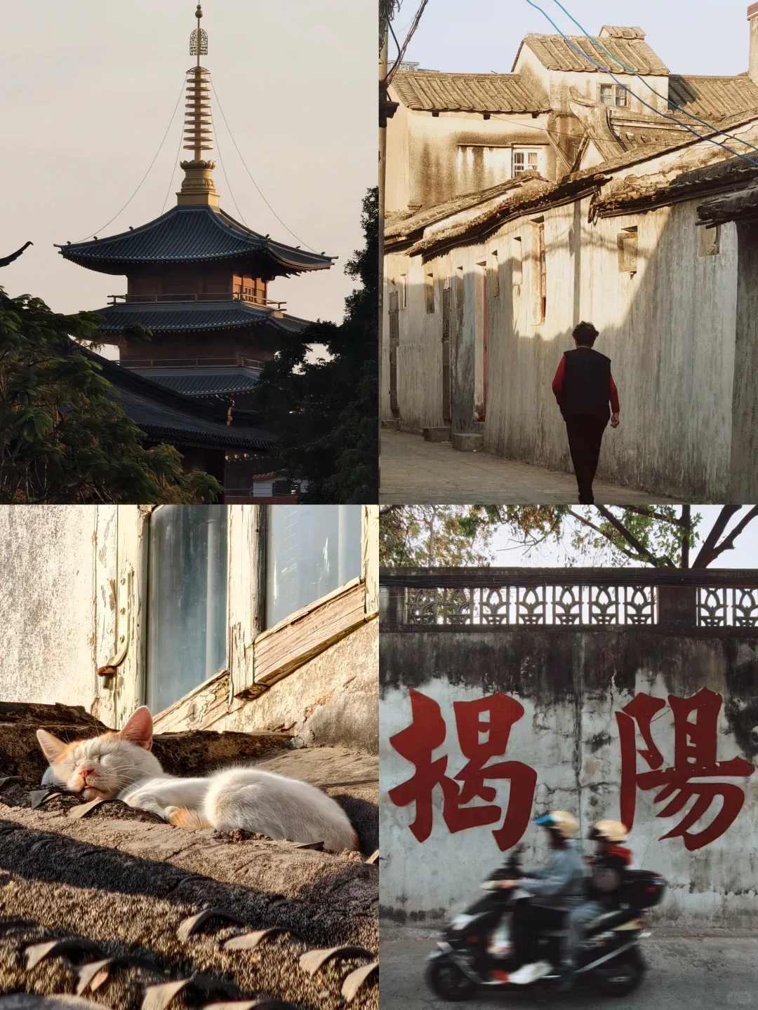 cf202b07b04bd4d18857ca0698e16a82-sz_2370805