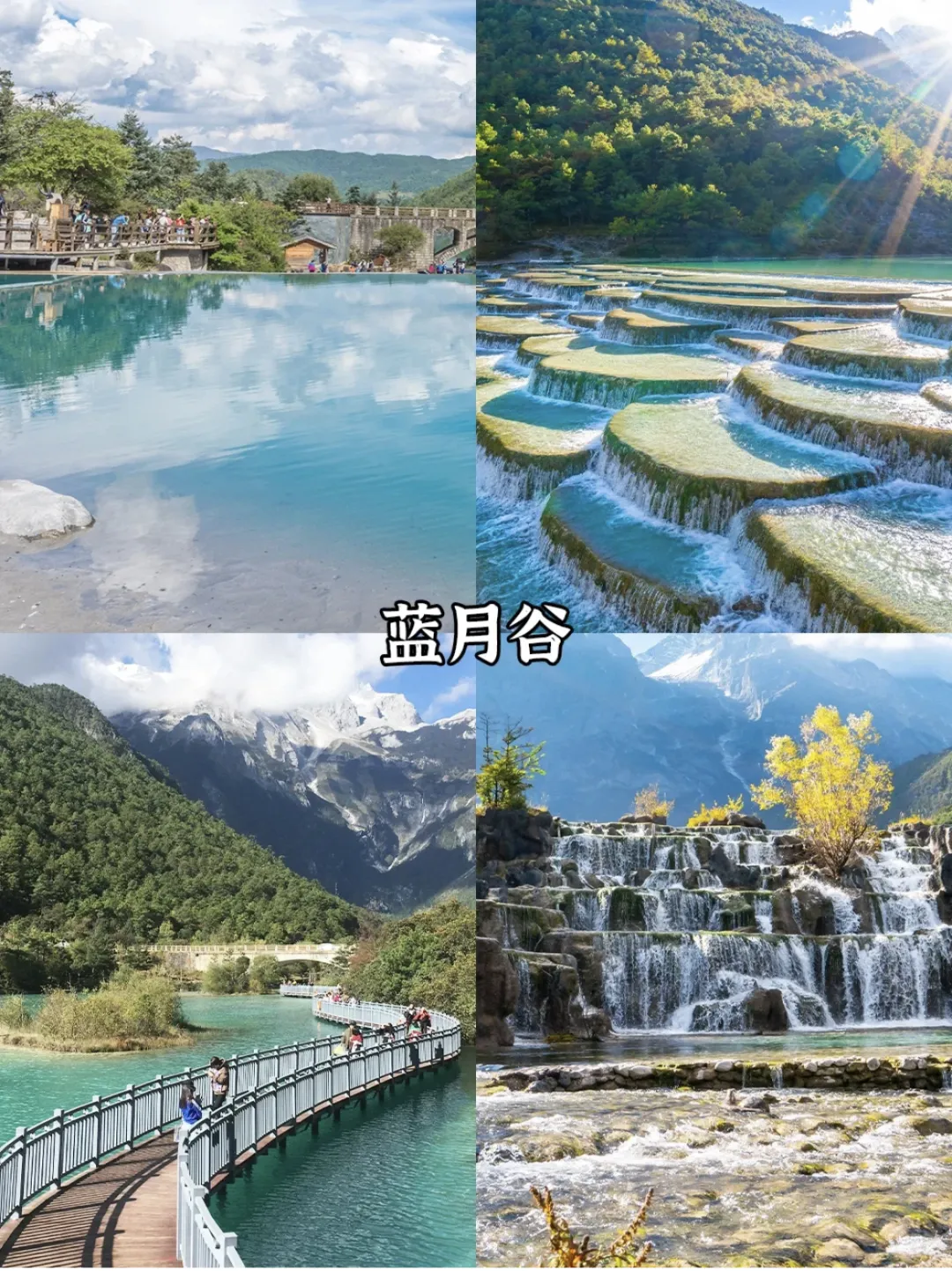 cf3545ae302cd9aa5ed4d85d483c88de-sz_2277595-1