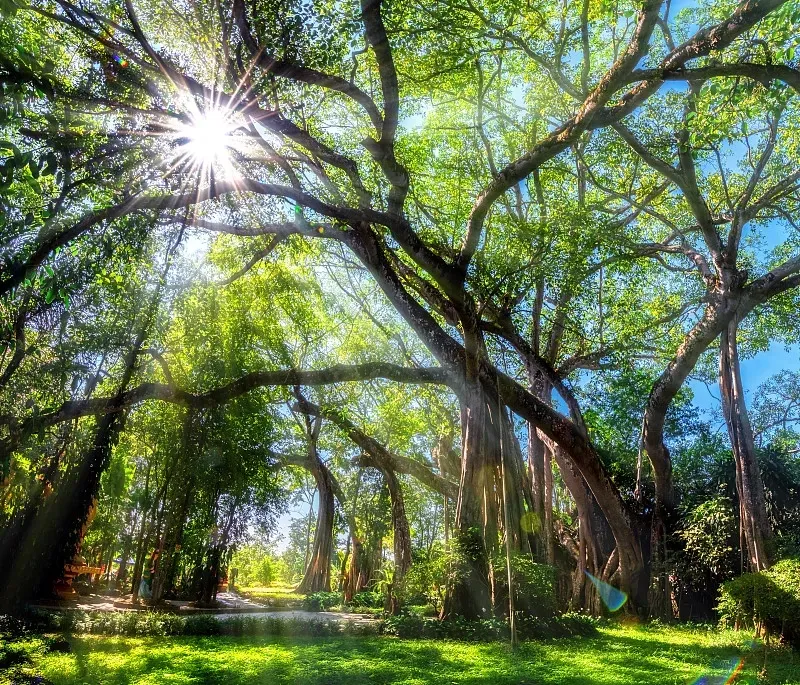 cf3eb3ed37fe9ae4f99068f0bbb40bc4-sz_812054