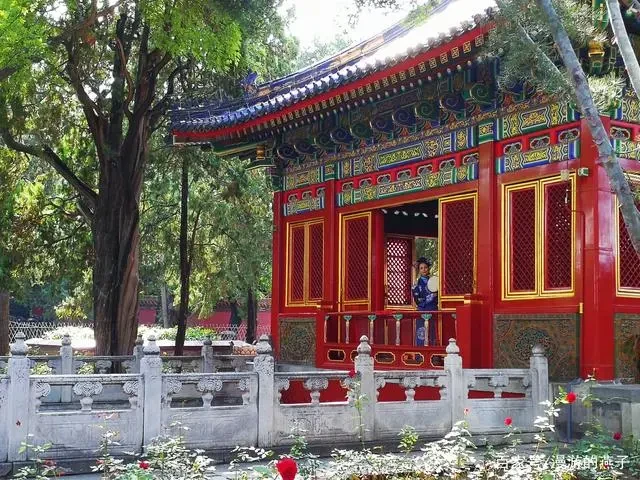 cf47b867a1111d843b1dc4393cd5b105-sz_101012 cf47b867a1111d843b1dc4393cd5b105-sz_101012