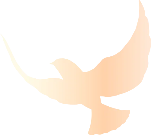 cf639cafa32f2023f78ab9df5f21a27a_sz-26333-1