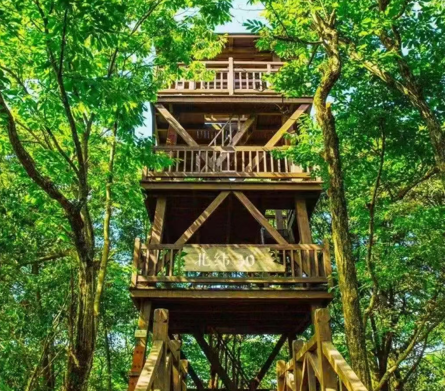 cf842ed8f77bd90c63ba422307513cfd