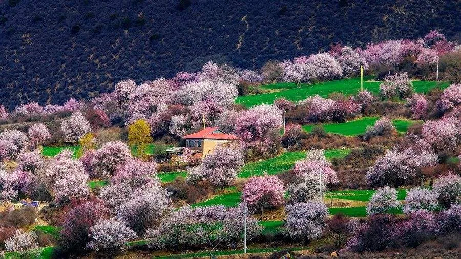 d00823b5eaad8d9291f8b8b9e510ad8b-sz_1372674 d00823b5eaad8d9291f8b8b9e510ad8b-sz_1372674