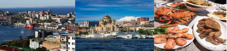 d03d8697f36d494fcc95ff88f03eb431-sz_349233