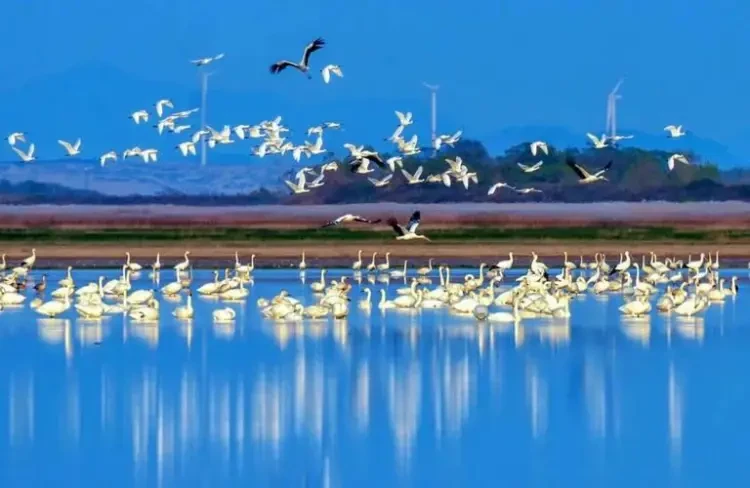 d0487671fffaa536f14eb4f428cb31e4-sz_49431